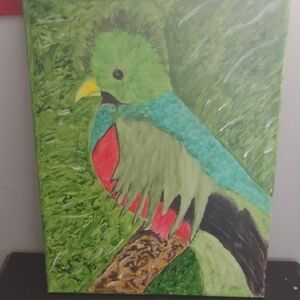 Colorful Bird Canvas Art